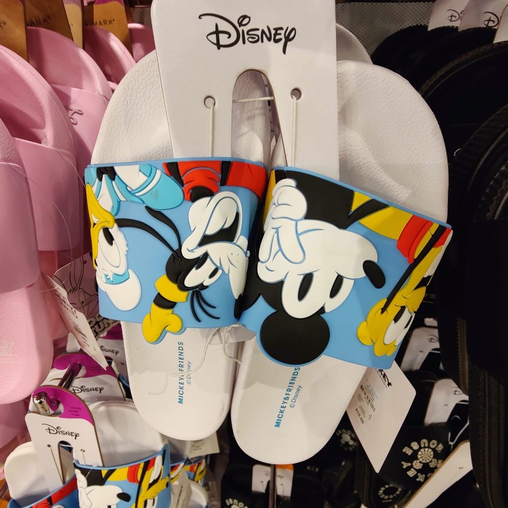 Disney Slides